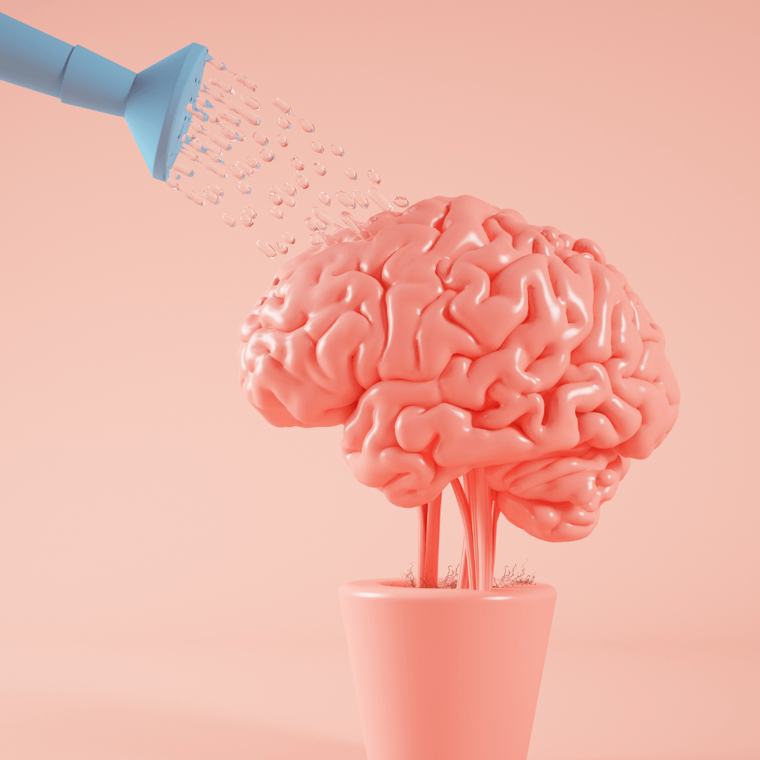 Alimente sua alma com o que floresce de dentro para fora