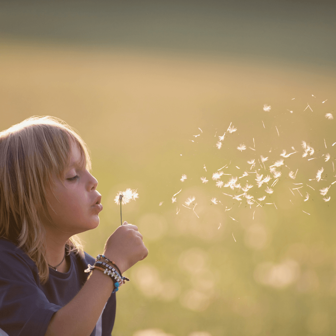 O que você profetiza hoje pode ser o que floresce amanhã