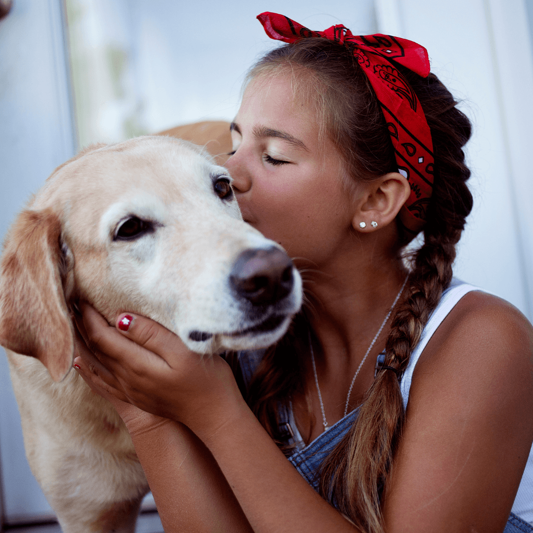 Quando os Animais te Escolhem: O Mistério Espiritual por trás da Conexão entre Humanos e Seres de Outras Dimensões